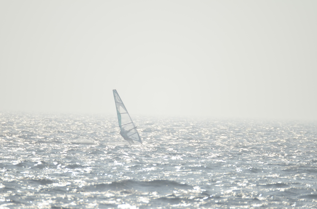 surf1.jpg