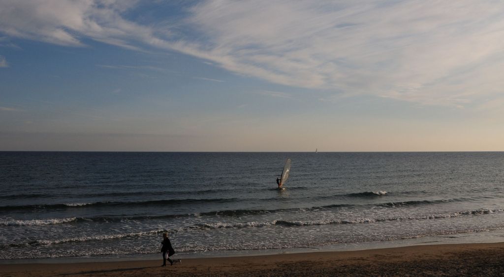 surf.jpg