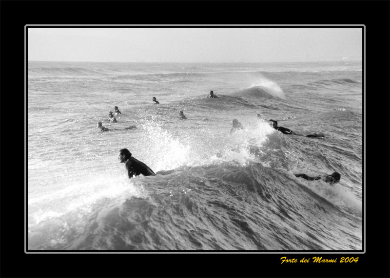 Surf copy.jpg