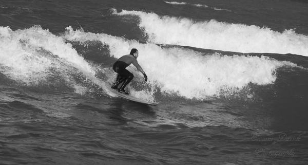 Surfer IV mini.jpg
