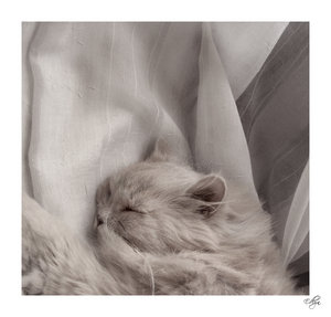 Sweet_dreams_part_I_by_edlyn.jpg