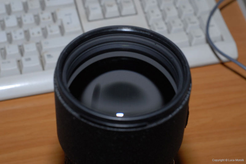 t_DSC_9006.jpg