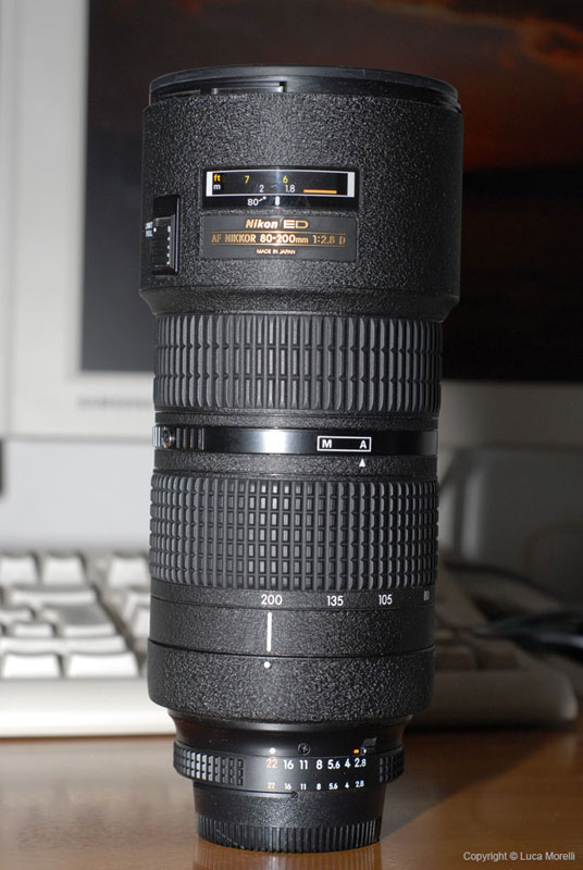 t_DSC_9007.jpg