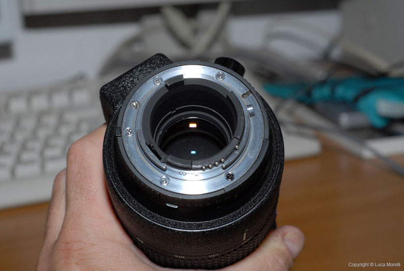t_DSC_9010.jpg