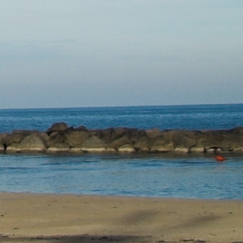 TA bordo.jpg