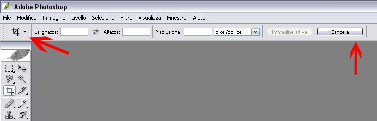 taglierina.jpg