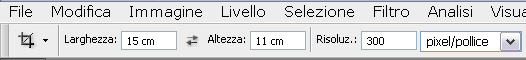 taglierina.jpg