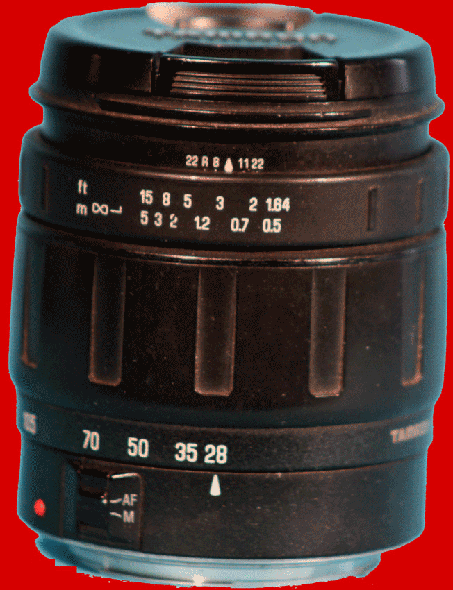 TAM-0003IN.gif