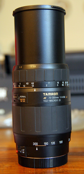 tamr 1.jpg
