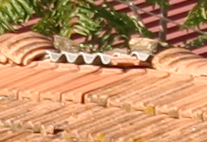 tamron parfocale.jpg