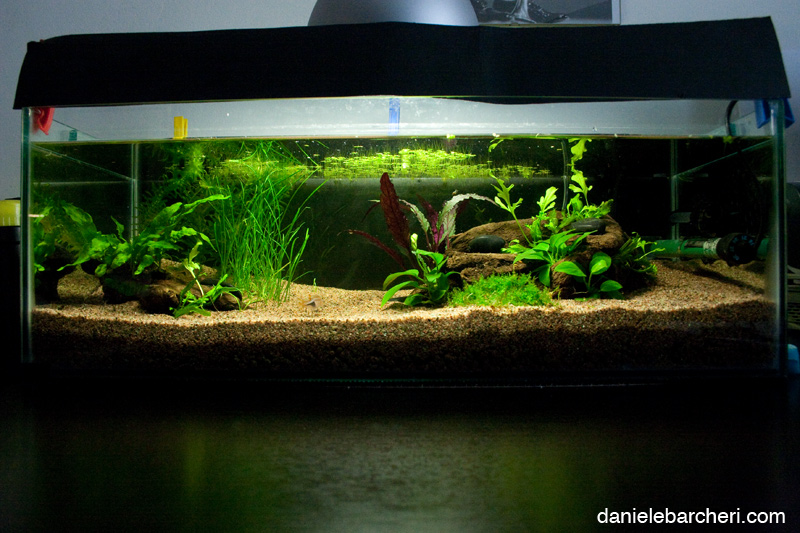 tank_01.jpg
