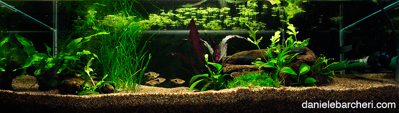 tank_02.jpg