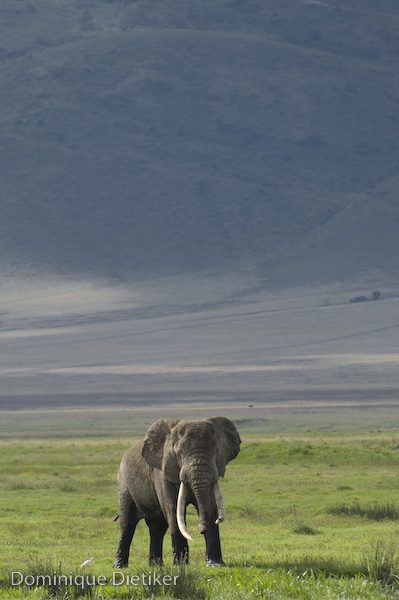 tanzania 0167.jpg