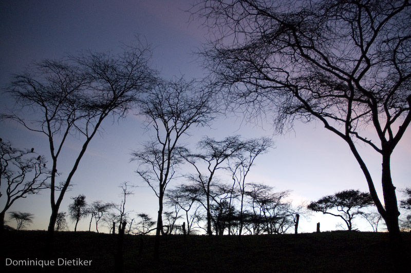 tanzania 0456.jpg