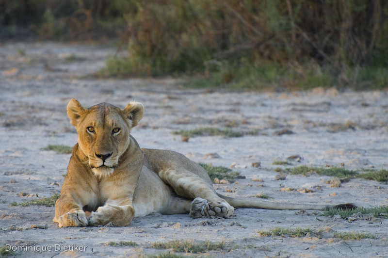 tanzania 0698.jpg