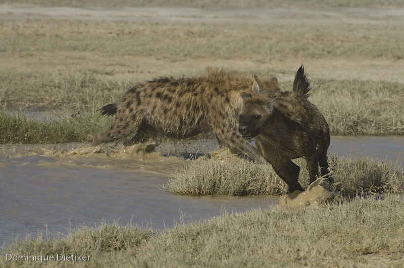 tanzania 0852.jpg