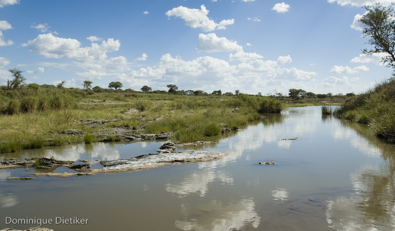 tanzania 1047.jpg