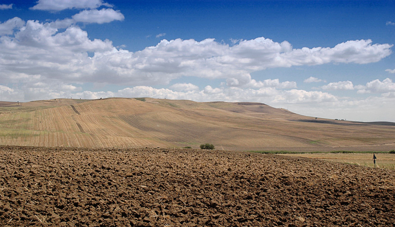 Terra-di-Puglia-3.jpg
