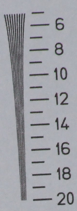 terza.jpg