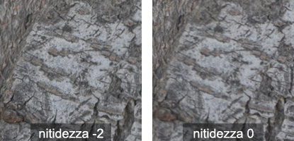test_corteccia.jpg