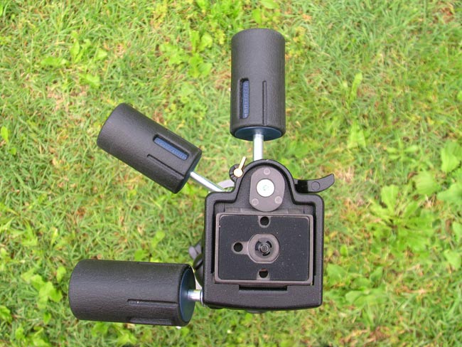 testa-05+piastra.jpg