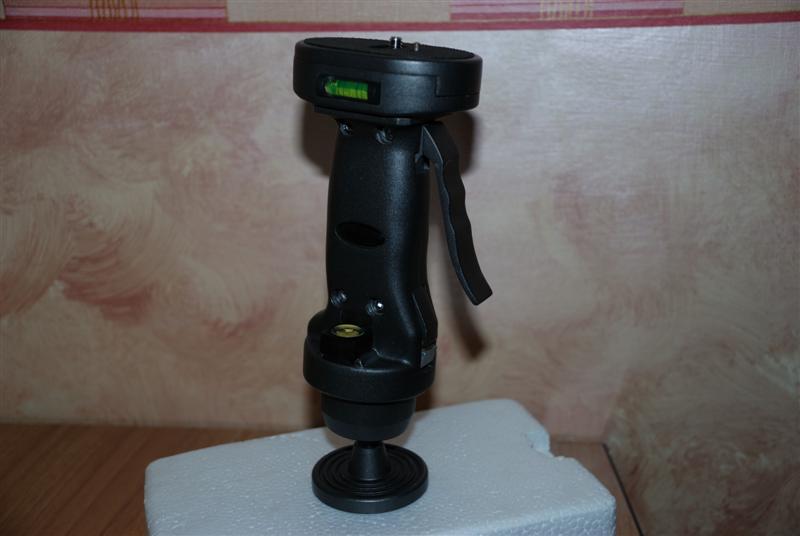 Testa1 (Medium).jpg