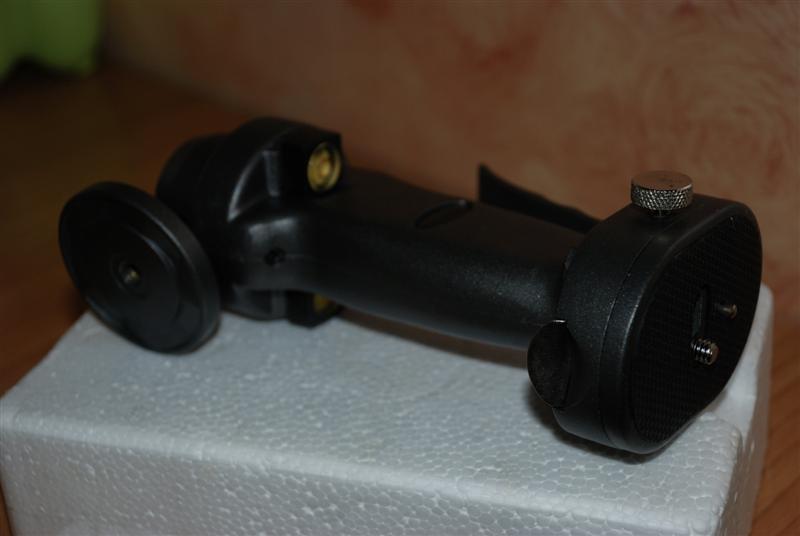 Testa3 (Medium).jpg