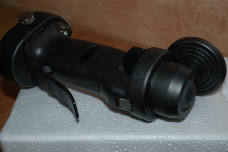 Testa4 (Medium).jpg