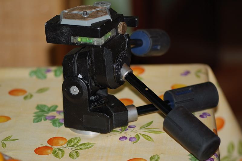 testa 5.jpg