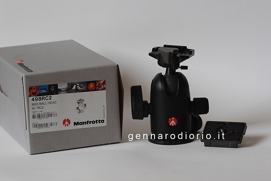 testa_manfrotto_200kb.jpg