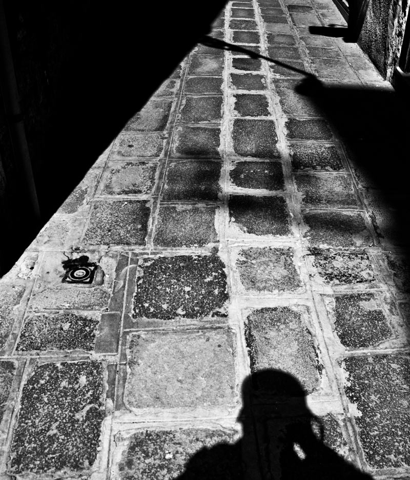 the-path-2.jpg