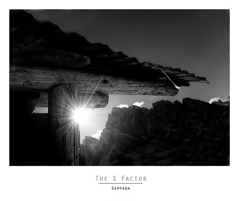 The-s-factor.jpg