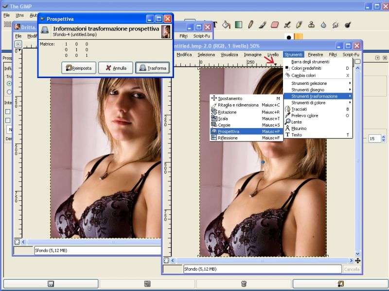 The GIMP.jpg