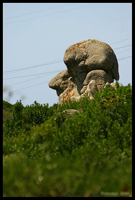 The_Head_by_frtosi_DCE.jpg