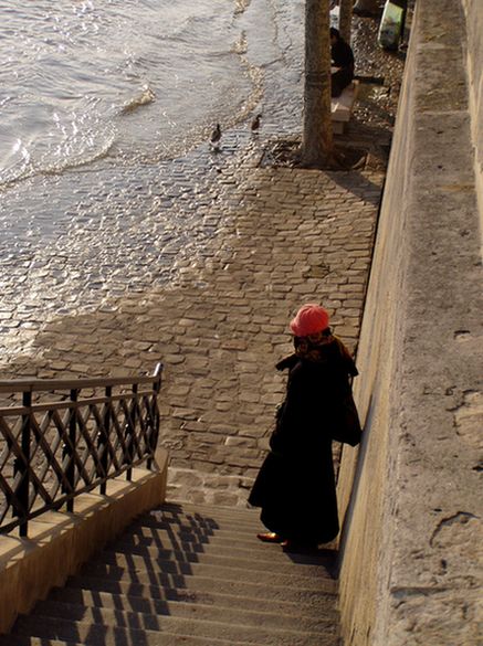 The Last Parisians 5.jpg