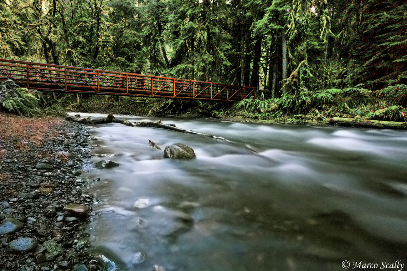 the river.jpg