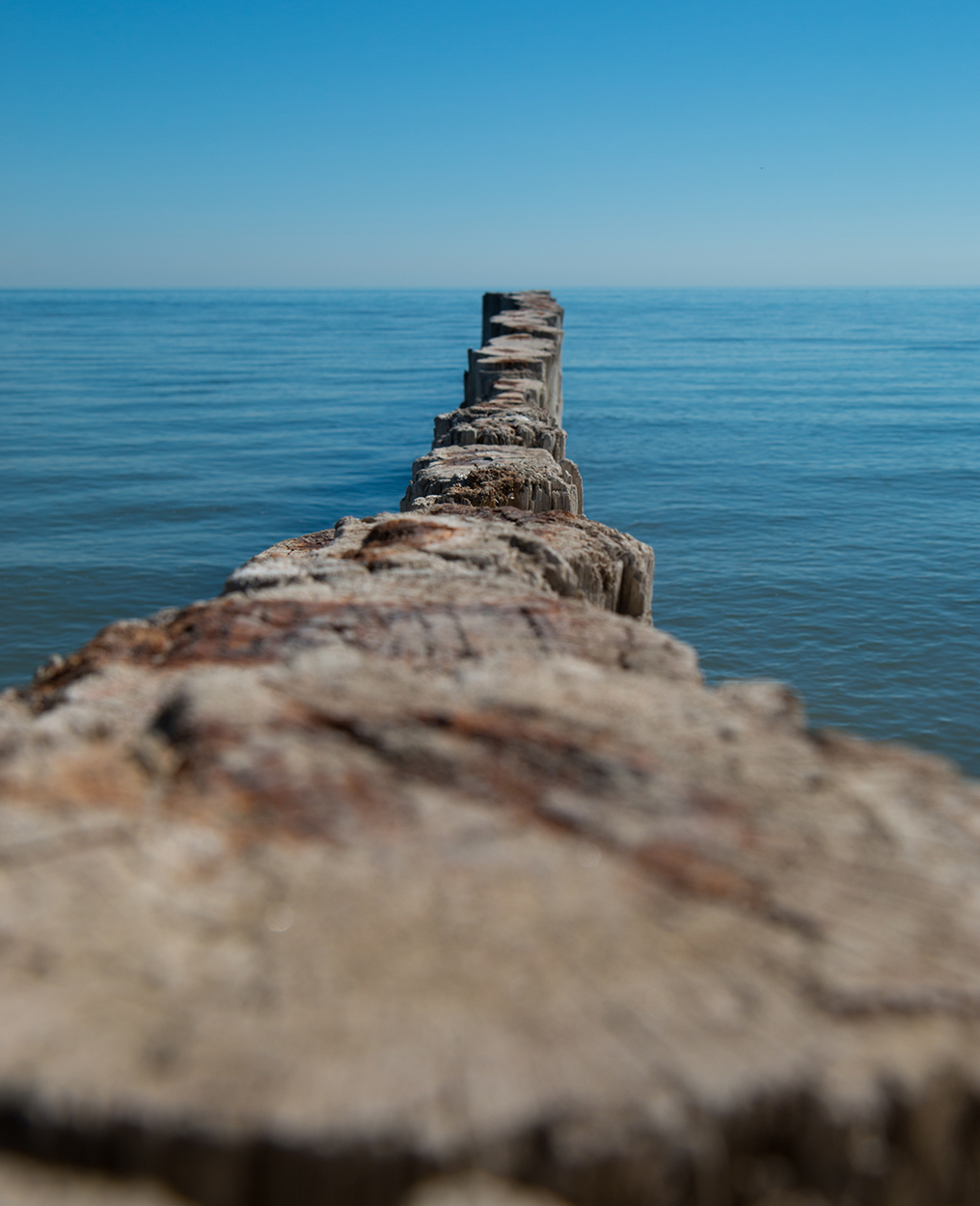 The Sea Road.jpg
