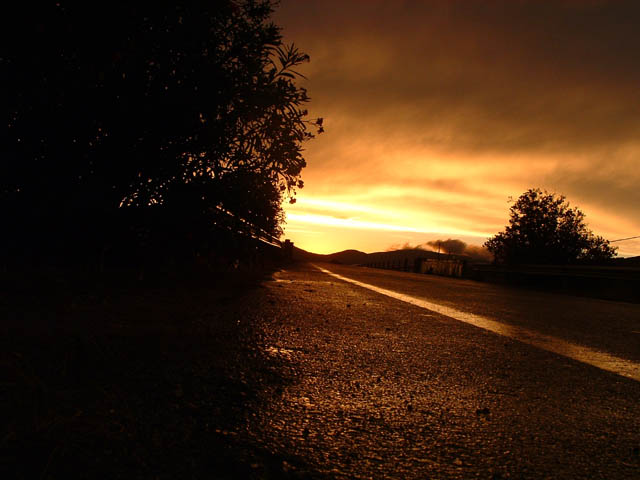 TheDayTheNature030.JPG