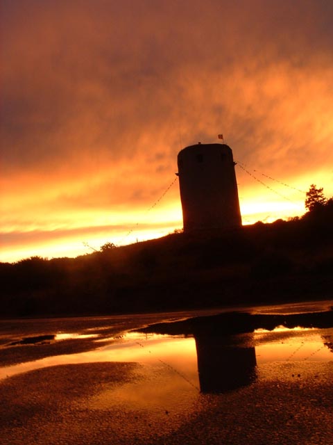 TheDayTheNature038.JPG