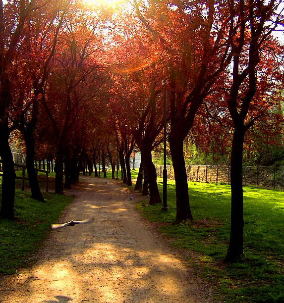 Tia - Un pomeriggio al parco2.jpg