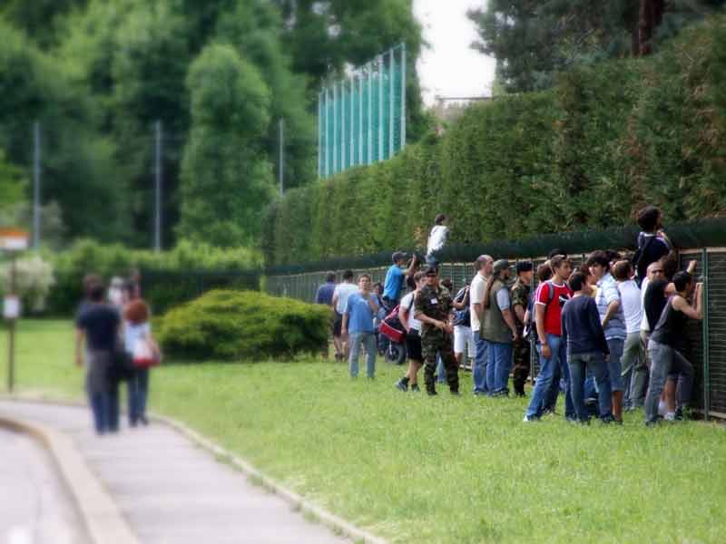 Tifosi-2.jpg