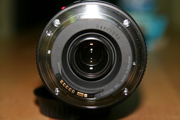tn_IMG_2617.jpg
