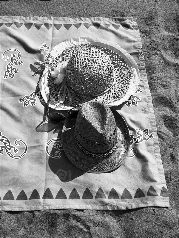 tn_P8201358 bn web2 pic.jpg
