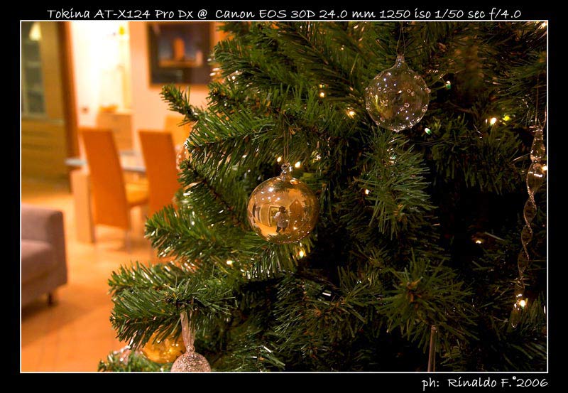 Tokina@albero_1.jpg