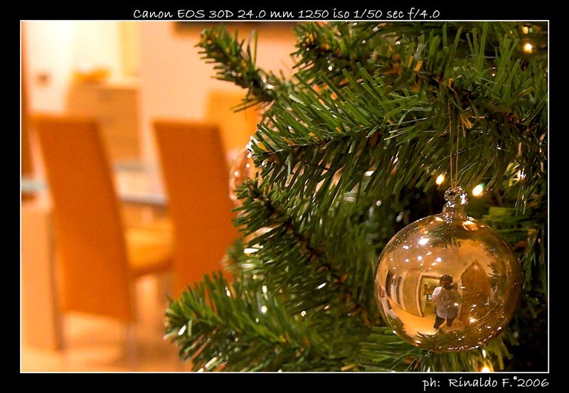 Tokina@albero_1_crop.jpg