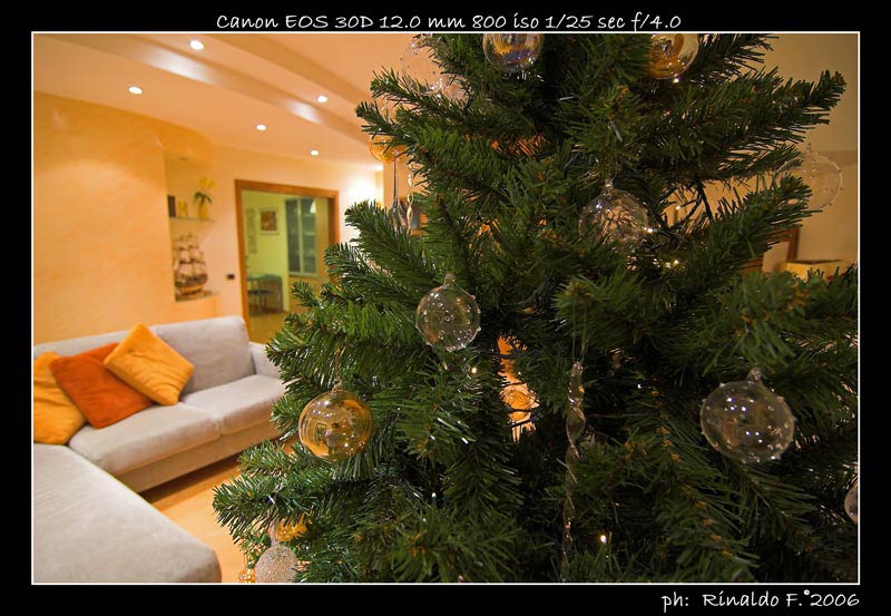 Tokina@albero_2.jpg