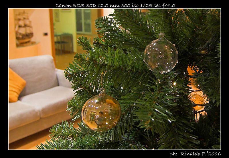 Tokina@albero_2_crop.jpg