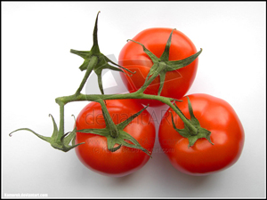 TomatoeS_by_Kamorek.jpg