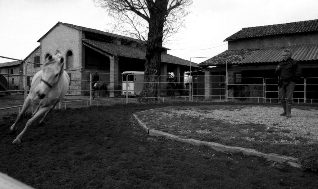 Tondino raddrizzata web.jpg
