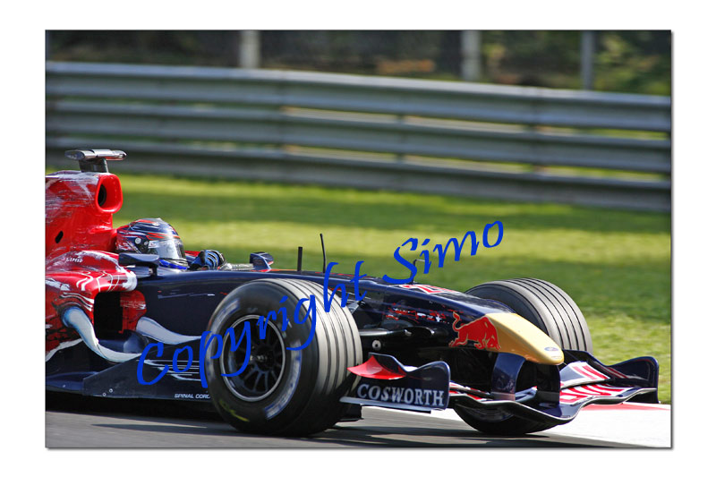 Toro-rosso.jpg